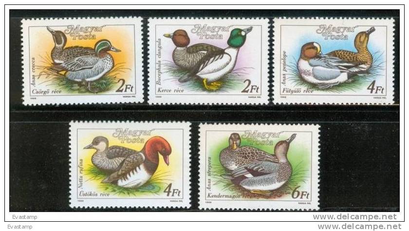 HUNGARY - 1988. Ducks Cpl. Set MNH! - Patos