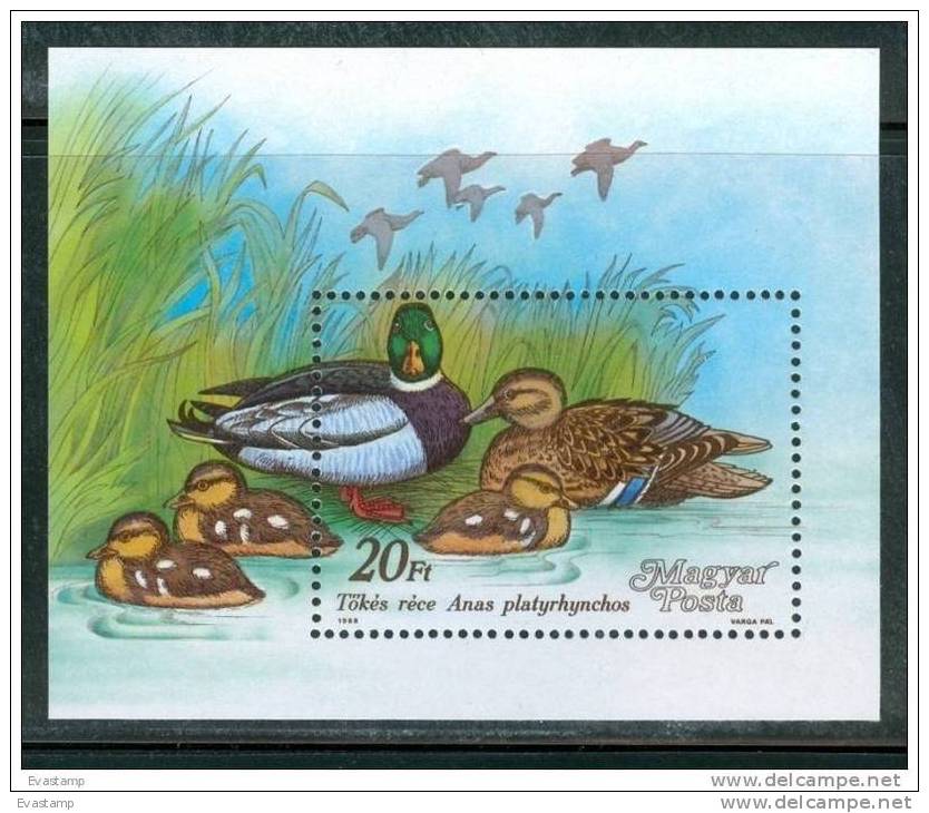 HUNGARY-1988.Souvenir Sheet - Ducks MNH! - Canards