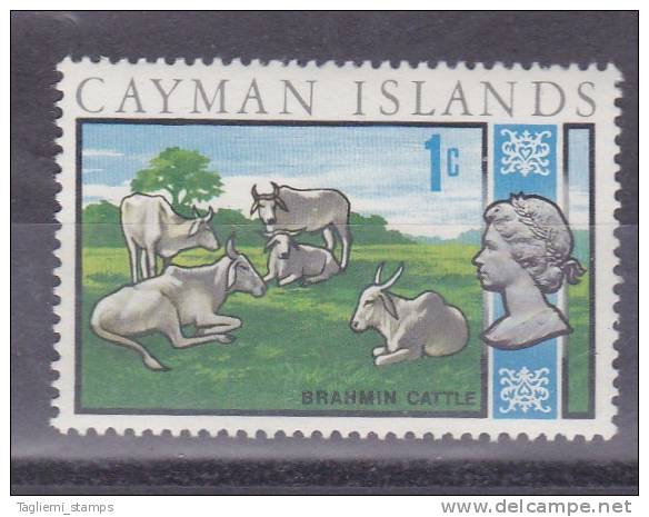 Cayman Islands, 1970, SG 274, MNH - Iles Caïmans