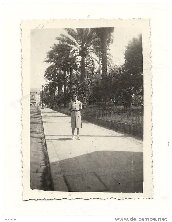 Photo, Lieu, Nice (06) - Jardins Albert 1er - 1942 - DImension : 8.5 X 6 Cm - Lieux