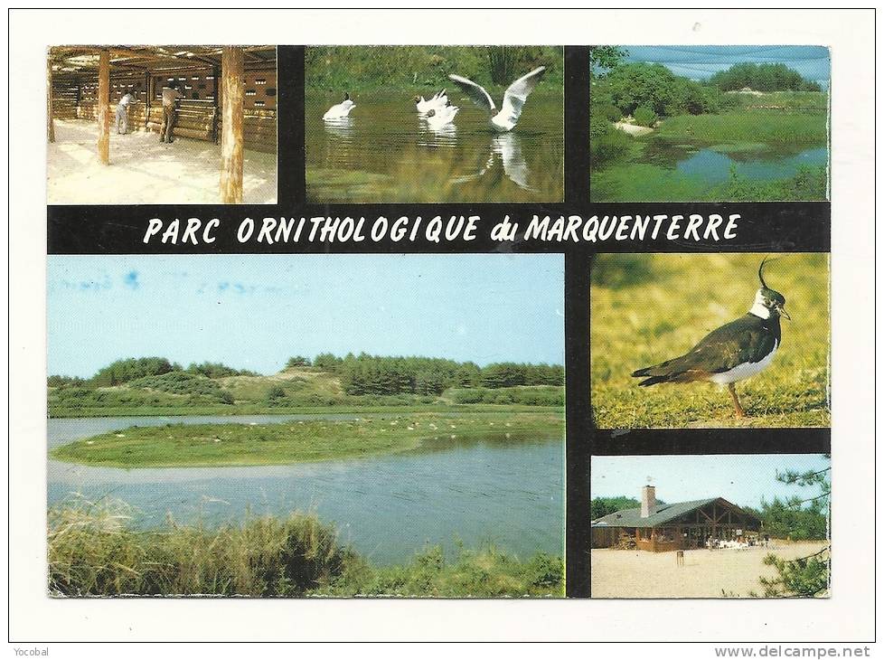 Cp, Animaux, Oiseaux, Parc Ornitholoque Du Marquenterre, Rue (80), Multi-Vues, Voyagée - Vogels