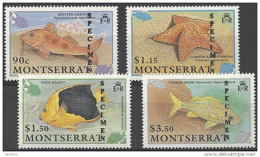 MONTSERRAT - 1991 Fish Overprinted SPECIMEN. Scott 758-61. MNH ** - Montserrat