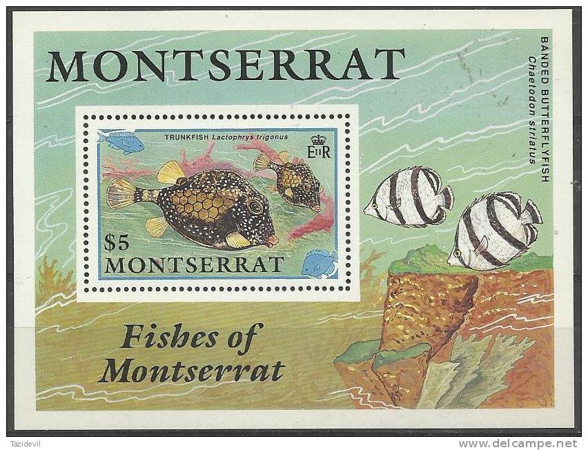 MONTSERRAT - 1991 Fish Souvenir Sheet. Scott 762. MNH ** - Montserrat