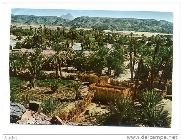 TCHAD PALMERAIE De BARDAI TIBESTI 1970 / FORT LAMY Hotel La Tchadienne - Tchad