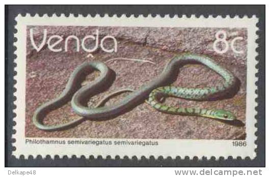 Zuid Afrika South Africa Venda 1986 Mi 127 X ** Philothamnus Semivariegatus Semivariegatus : Bush Snake / Buschschlange - Serpents