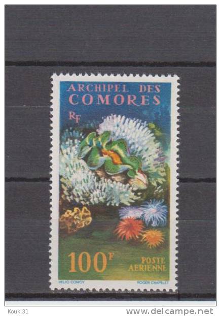 Comores YT PA 5 * : Bénitier Et Corail - 1962 - Luftpost