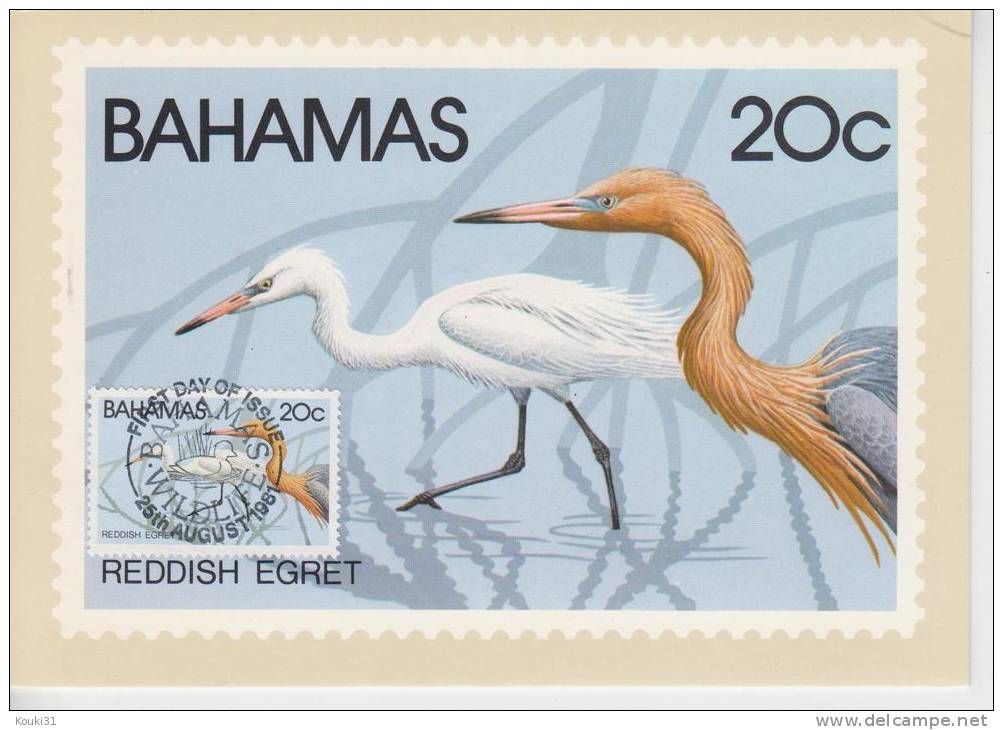 Bahamas YT 481 CM : Aigrette Roussâtre - 1981 - Pélicans