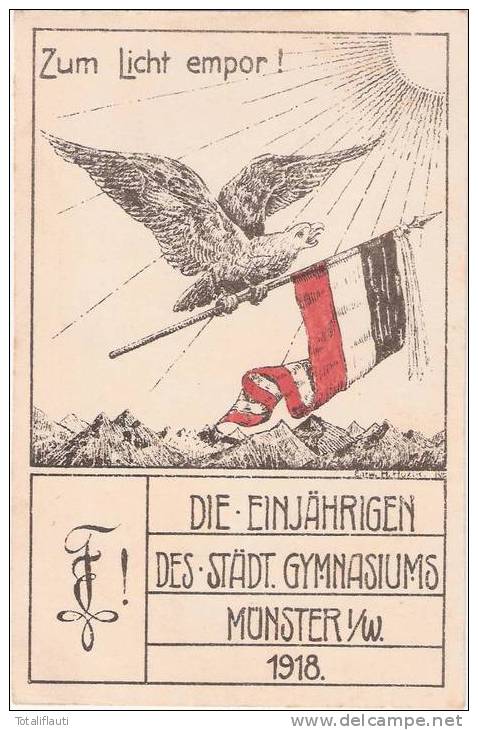 Münster Westfalen Einjährig Freiwillige Gymnasium 1918 Adler Patriotika Studentika TOP-Erhaltung Postalisch Ungelaufen - Muenster