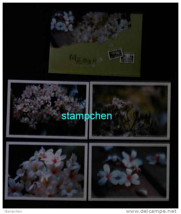 Set Of 4 Taiwan 2008 Blossoms Of Tung Tree Flower Post Cards - Brieven En Documenten