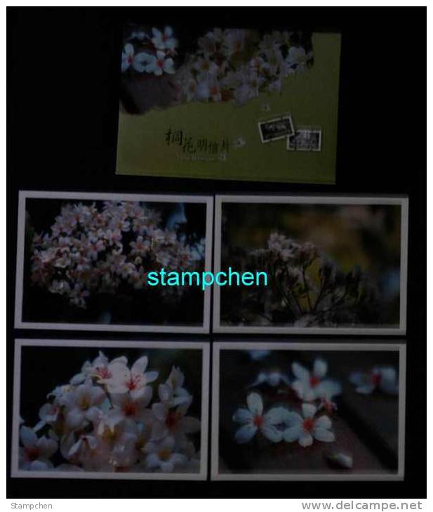 Set Of 4 Taiwan 2008 Blossoms Of Tung Tree Flower Post Cards - Covers & Documents