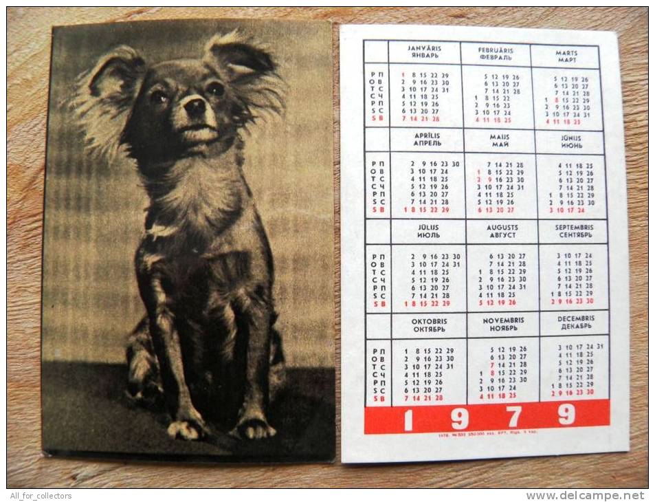 Small Calendar From Latvia 1979 Dog Chien - Petit Format : 1971-80