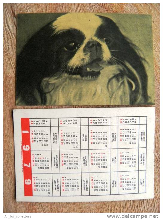 Small Calendar From Latvia 1979 Dog Chien - Kleinformat : 1971-80