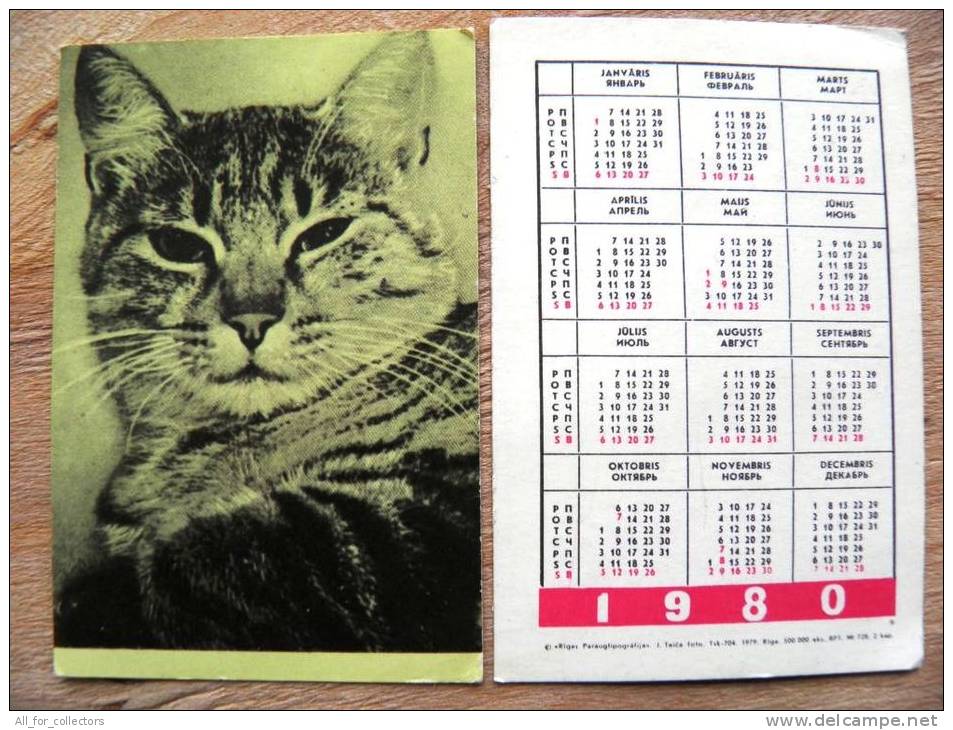Small Calendar From USSR Latvia1980,  Cat Chat - Tamaño Pequeño : 1971-80