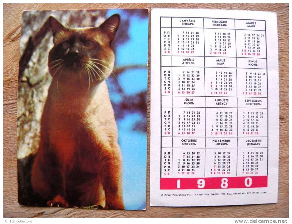 Small Calendar From USSR Latvia1980,  Cat Chat - Petit Format : 1971-80