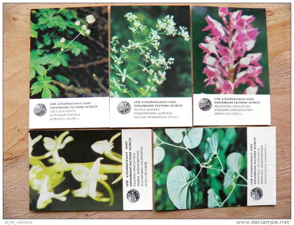 5 Different Small Calendar From USSR Latvia1984,  Plants Flowers - Kleinformat : 1971-80