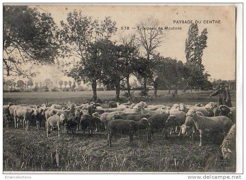 Paysage Ou Scène Du Centre  19  Troupeau De Moutons - Altri & Non Classificati
