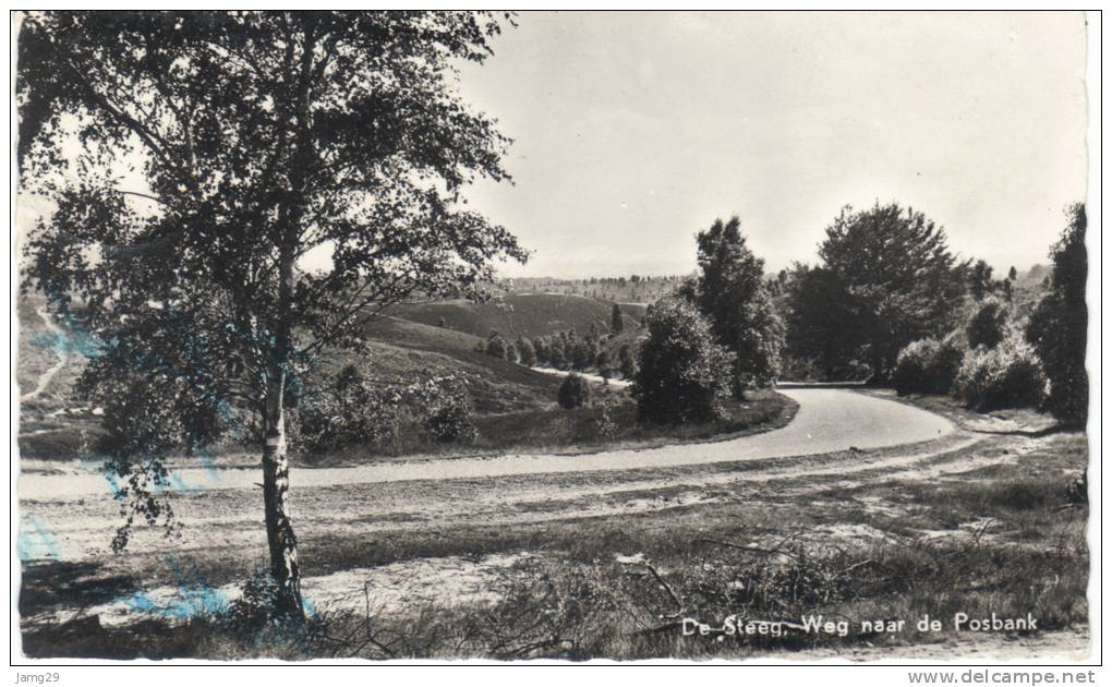 Nederland/Holland, De Steeg, Weg Naar De Posbank, 1962 - Rheden