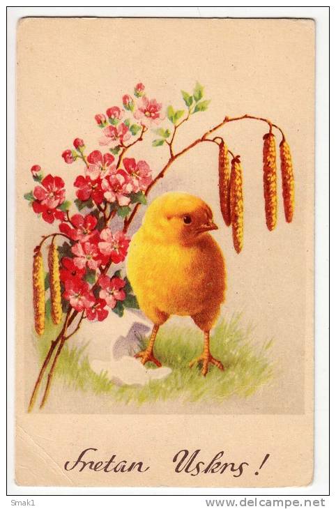 EASTER CHICKEN EGG FLOWERS M.D.O. Nr. 8037 OLD POSTCARD - Easter