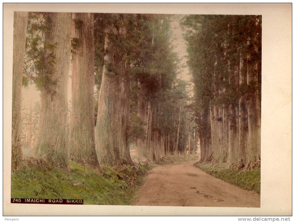 PHOTOGRAPHS Nikk&#333; National Park, In Nikk&#333;, Tochigi IMAICHIROAD  NIKKO ,CARDBOARD SIZE 25 X 19.5 Cm - Other & Unclassified