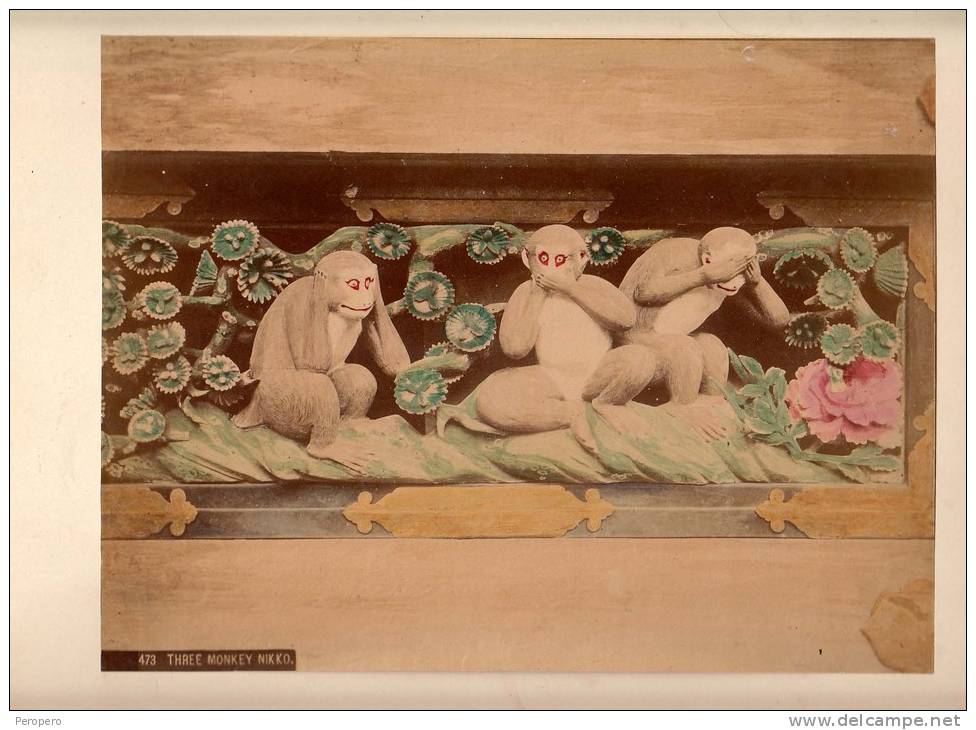 PHOTOGRAPHS Nikk&#333; National Park, In Nikk&#333;, Tochigi THREE MONKEY NIKKO ,CARDBOARD SIZE 25.7 X 19.5 Cm - Other & Unclassified