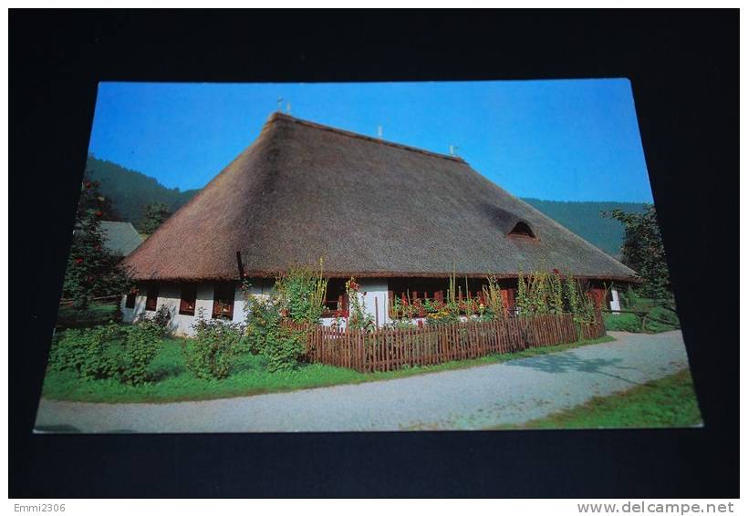 Gutach (Schwarzwaldbahn)  Hotzenwaldhaus   /    ( A - 9 ) - Gutach (Schwarzwaldbahn)