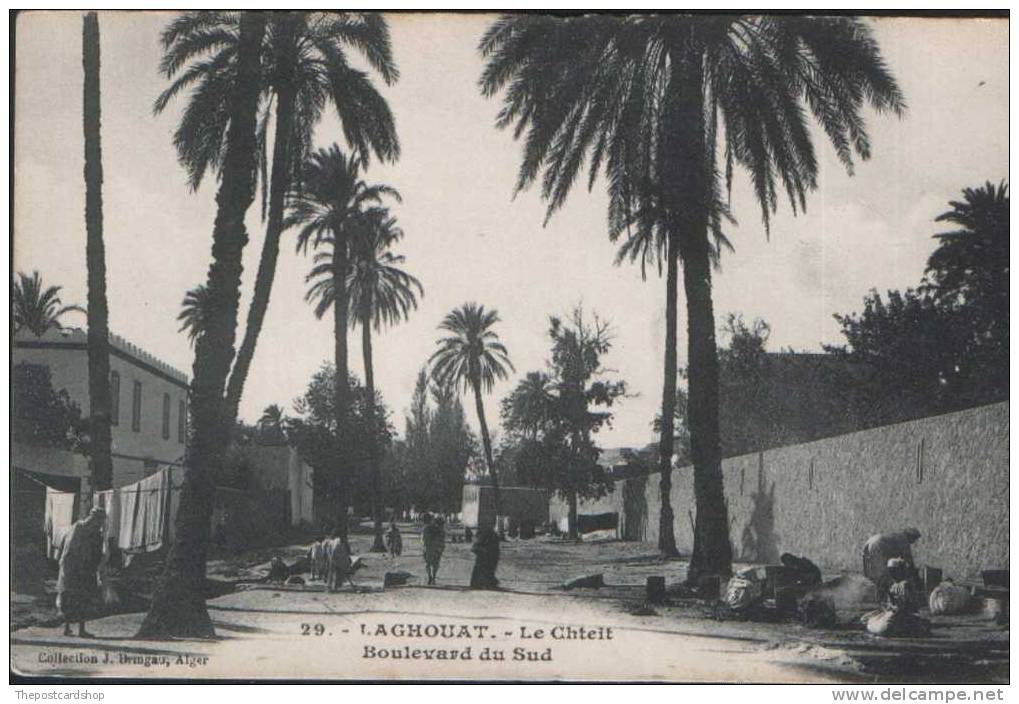 RLIST CPA Algérie 29 Laghouat -LE CHTEIT BOULEVARD DU SUD NON J BRINGAU écrite NORD AFRIQUE ALGERIA - Laghouat