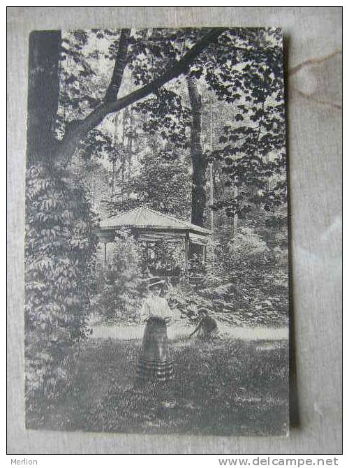 Bad Sonden Am Taunus - Beim Frühkonzert Im Kurpark  Ca 1905        D90901 - Taunus