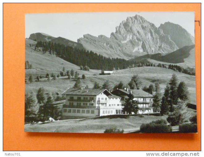 E1-suisse-sporthotel--steger Dellai-- Alpe Di Siusi-seiseralm-- - Steg