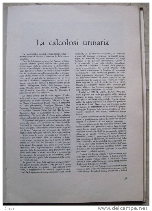 LIBRO FIUGGI E LE SUE ACQUE A CURA DOTT. GIUSEPPE RENGO  ANNO 1961 FROSINONE EDIZIONE IPEM CASSINO