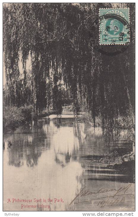 A Picturesque Spot In The Park, Pietermaritzburg Posted Durban, 1908 - Afrique Du Sud