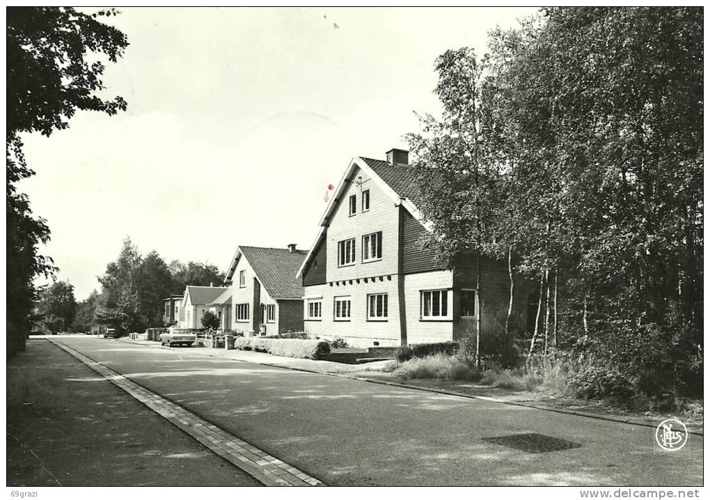 Montigny Le Tilleul Le Bois Du Prince - Montigny-le-Tilleul