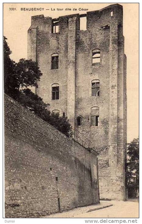 BEAUGENCY  -  La Tour Dite De César - Beaugency