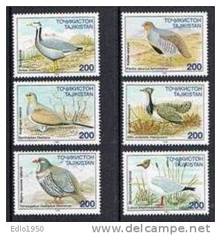 Tadjikistan 1996 Birds - MNH** - Autres & Non Classés