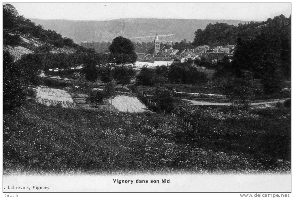 52 - VIGNORY Dans Son Nid - Photo-Émail - 1906 - Vignory