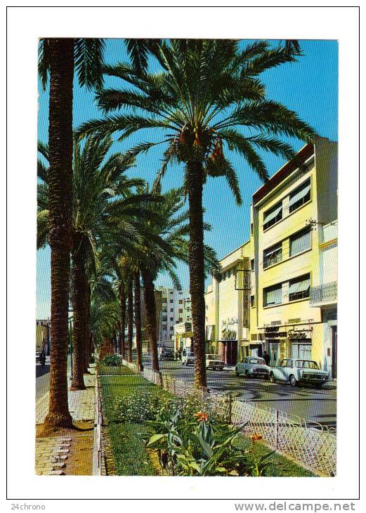 Maroc: Kenitra, Rue Princesse Lalla Aicha, Photo Mar Marin, Automobile (13-105) - Autres & Non Classés