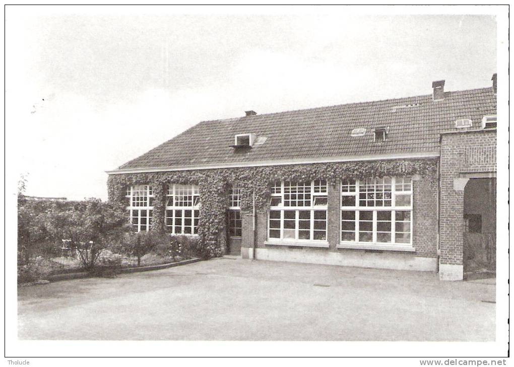 Nukerke (Maarkedal-Oudenaarde-Ronse)- Gemeente School (Ecole Communale) - Maarkedal