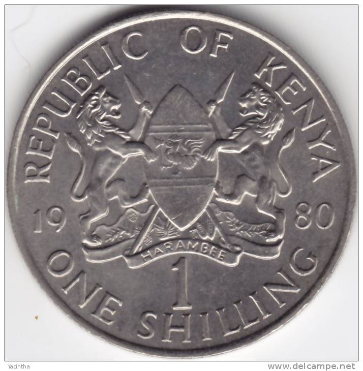 @Y@  Kenia 1 Shilling   1980   (C253) - Kenya