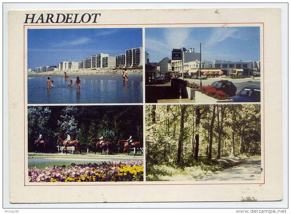 HARDELOT---Vues Diverses  Cpm  éd Combier---cachet Neufchatel-Hardelot--62--pas Très Courante - Autres & Non Classés