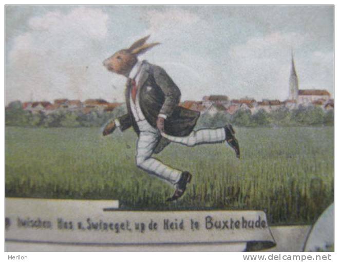 Buxtehude - Chlothed Rabbit    Hedgehog -  PU 1906    D90937 - Buxtehude