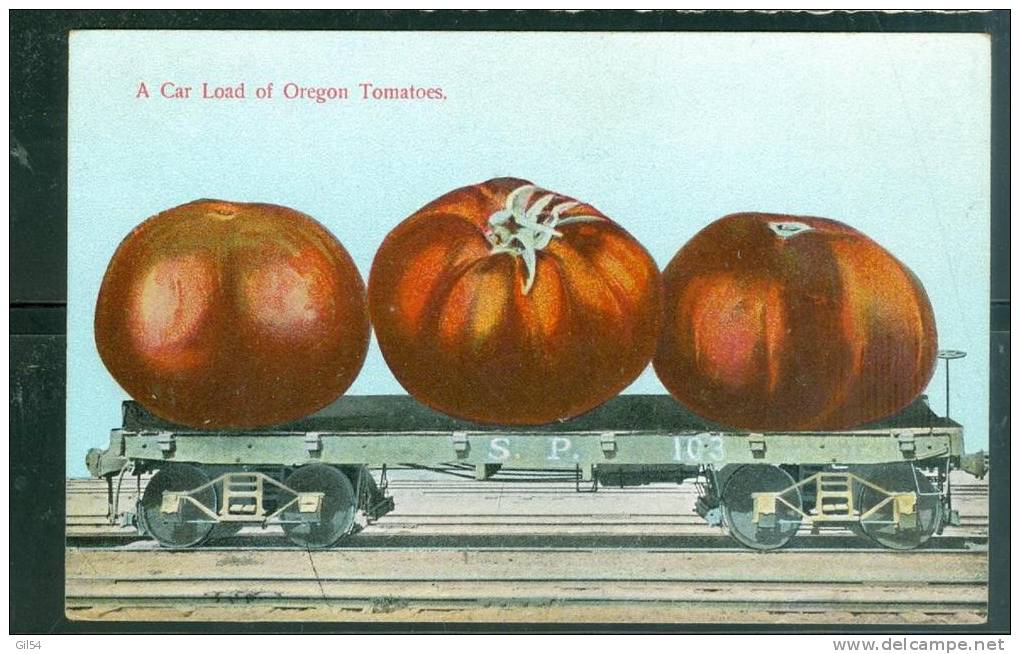Acar Load Of Oregon Tomatoes     - Um107 - Autres & Non Classés