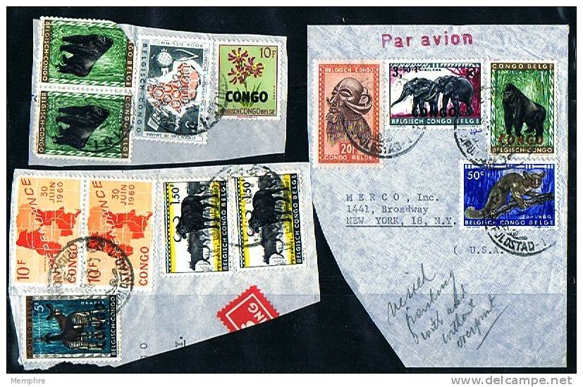 Usages Tardifs  Avec Timbres De La République Sur Fragments :  Animaux, Masque Et CCTA - Gebraucht