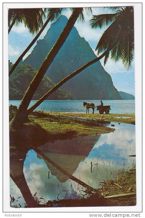 Saint Lucia - Petit Piton With Mule Cart + Bonus 2 Postcards Pitons & Marigot Bay -  Cca. 1960-1970 - Santa Lucia