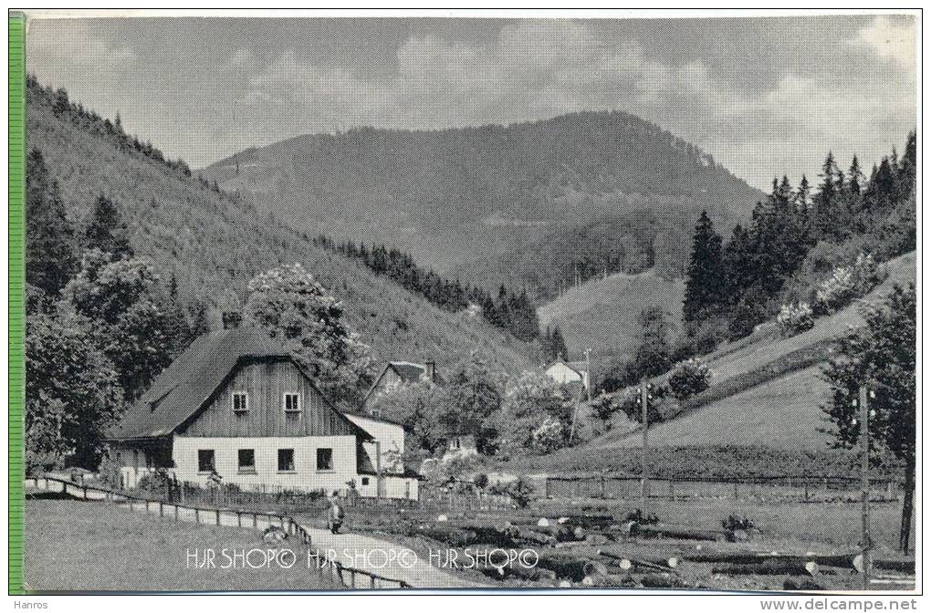 ,Lomnitz, Um 1920/1930   Verlag: Waldenburger Heimatbote,1964, Postkarte, Unbenutzte Karte - Schlesien