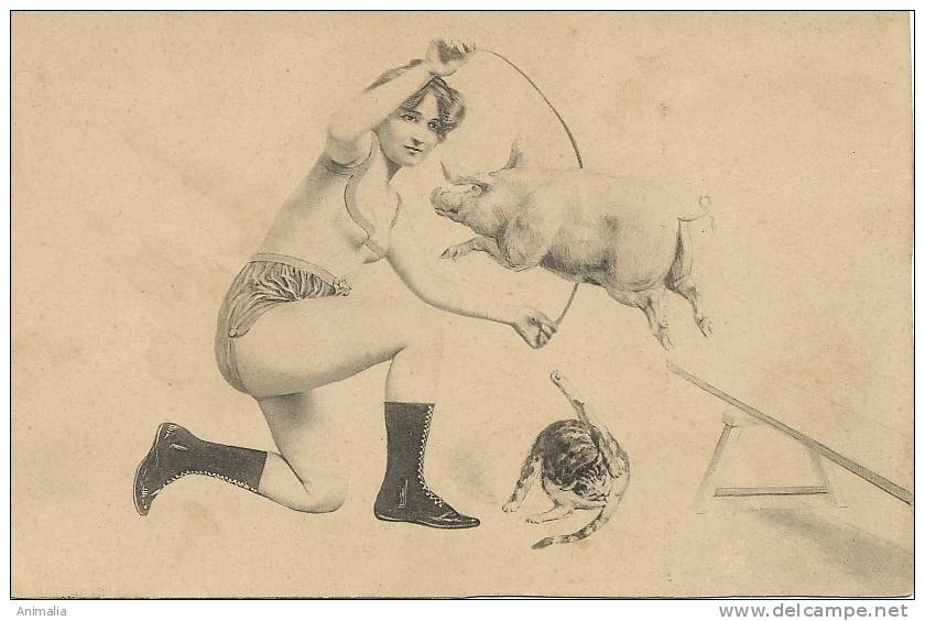 Cirque Femme Nue Dompteur De Cochon Et Chat Circus Nude Woman Taming Pig And Cat - Cirque