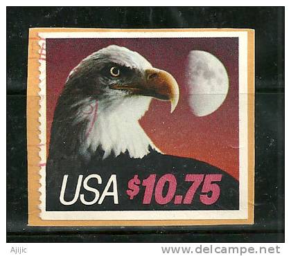 USA. Aigle Americain (Pygargue à Tête Blanche)  Timbre Expres Haute Faciale. Cote 15,00 €.  Yv. 1585 - Usati