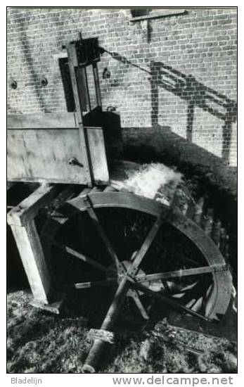 WAMBEEK Bij Ternat (Vlaams-Brabant) - Molen / Moulin - Het Rad Van De Klapscheutmolen Nog In Vol Bedrijf (1982) - Ternat