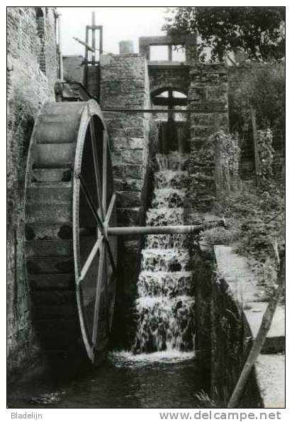 SCHORISSE Bij Maarkedal (O.Vl.) - Molen/moulin - Mooie Close-up Van De Nog Bestaande Kasteelmolen (ca. 1970) - Maarkedal