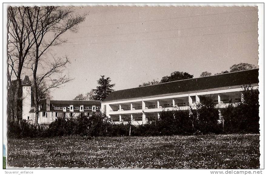 Photographie Mettray  Chateau Des Grandes Brosses 37  Les Indre Et Loire CP Dentelé - Lieux