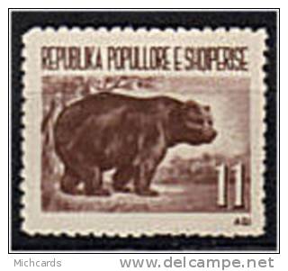 ALBANIE 1961 - Animal Sauvage - L Ours - Neuf Avec Trace De Charniere (Yvert 551) - Albania
