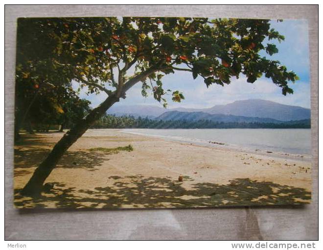 Puerto Rico  - Luquillo Beach  With El Yunque     D91299 - Puerto Rico